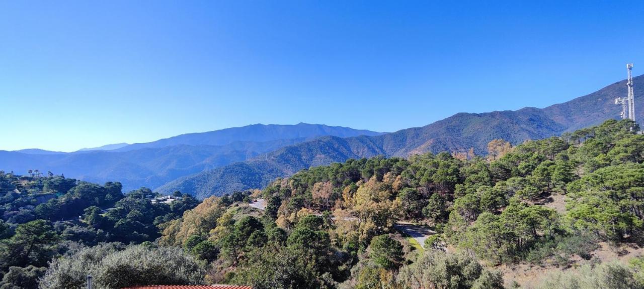 Gorgeous 3 Bedrooms In Villa Natural Reserve Park! Estepona Exteriör bild